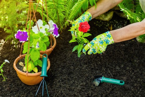 Gardener working in a Chiswick garden clearing beds near a terrace house