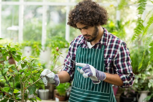 Eco-friendly garden maintenance practices in Chiswick