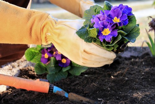 Selection of native plants suitable for a Chiswick landscape garden