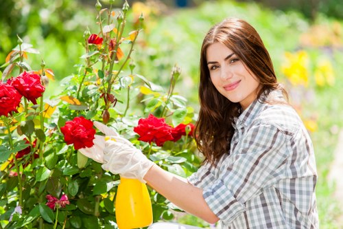 Experienced arborist performing tree maintenance