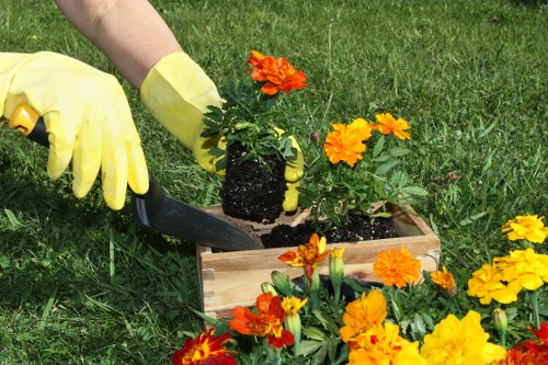 Garden clearance and loading green waste into van