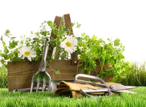 Eco-friendly gardening practices by Gardener Chiswick