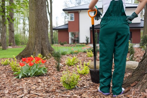 Effective watering techniques for a Chiswick garden