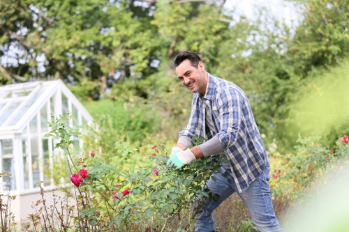 Professional garden maintenance services in Chiswick